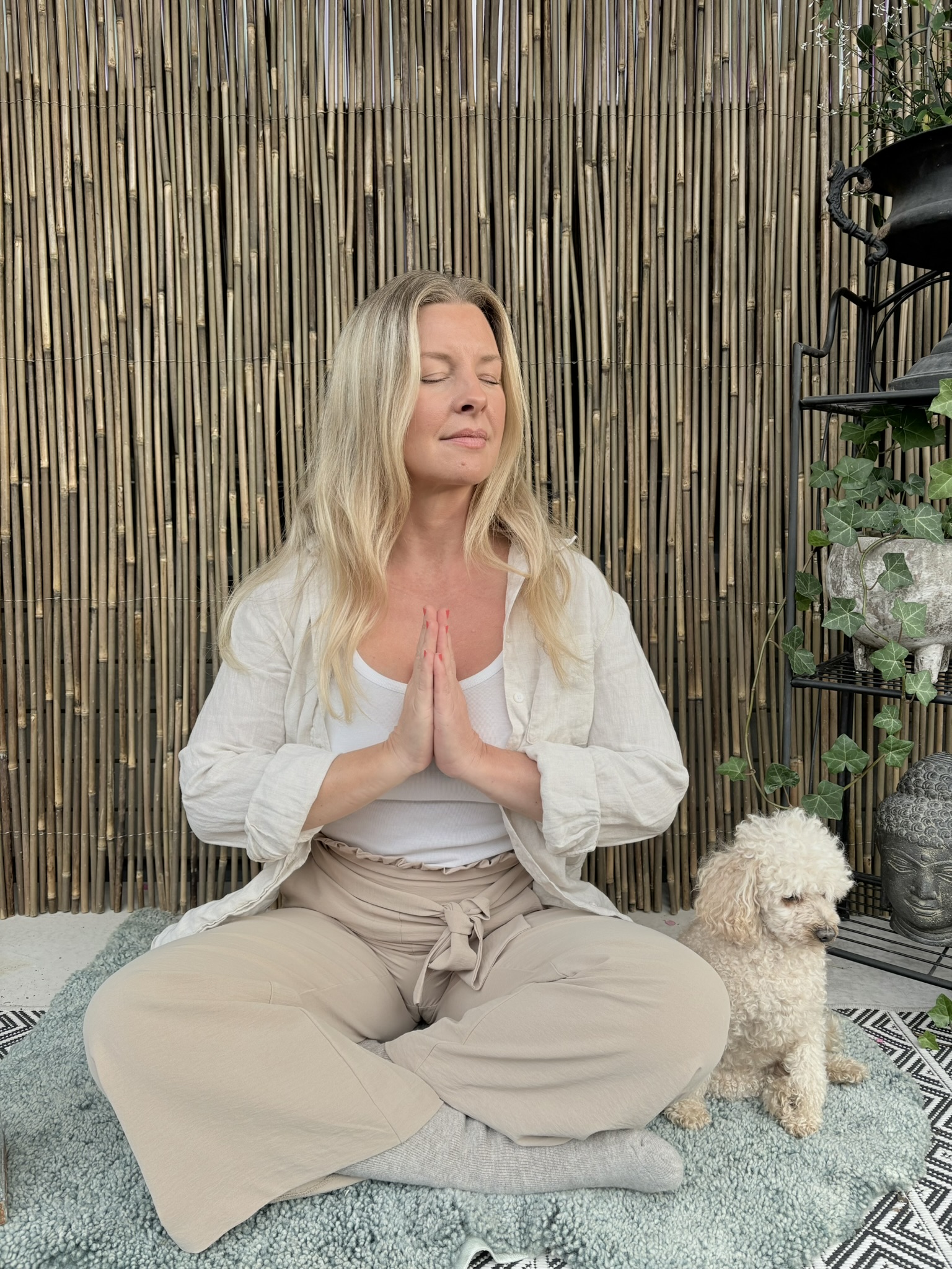 Mindfulness & Meditation